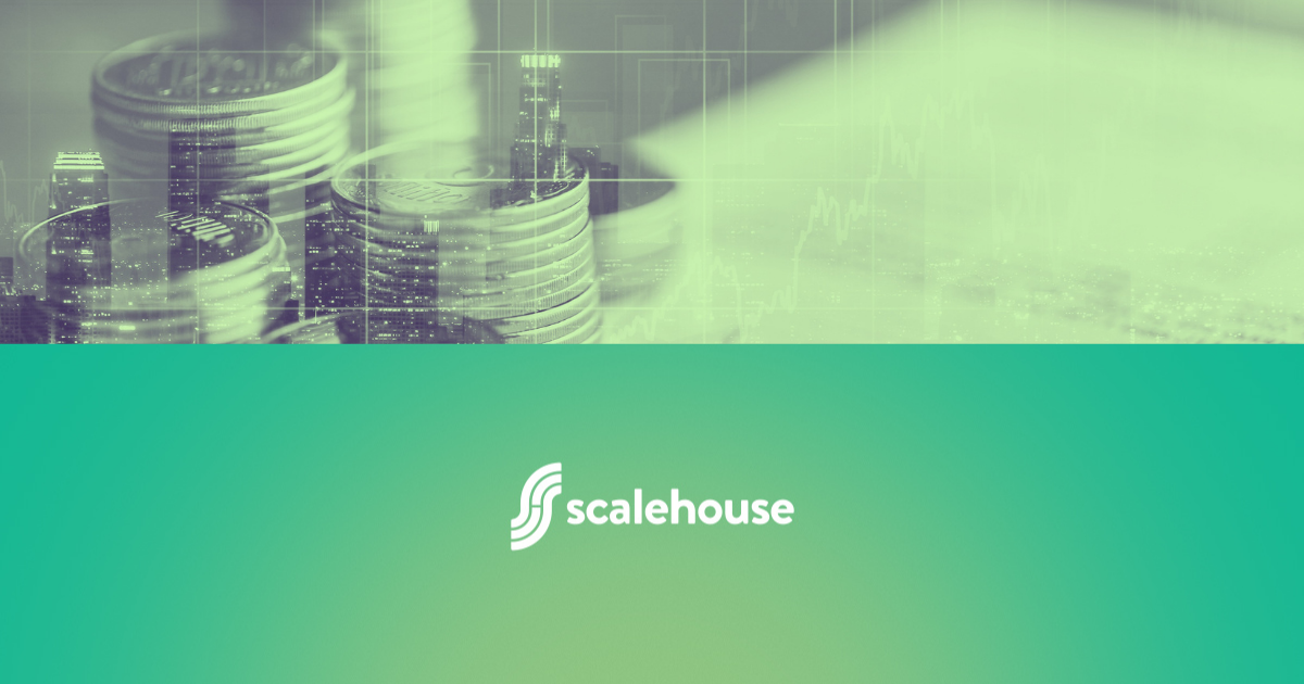 Public v Private SaaS Company_Scalehouse